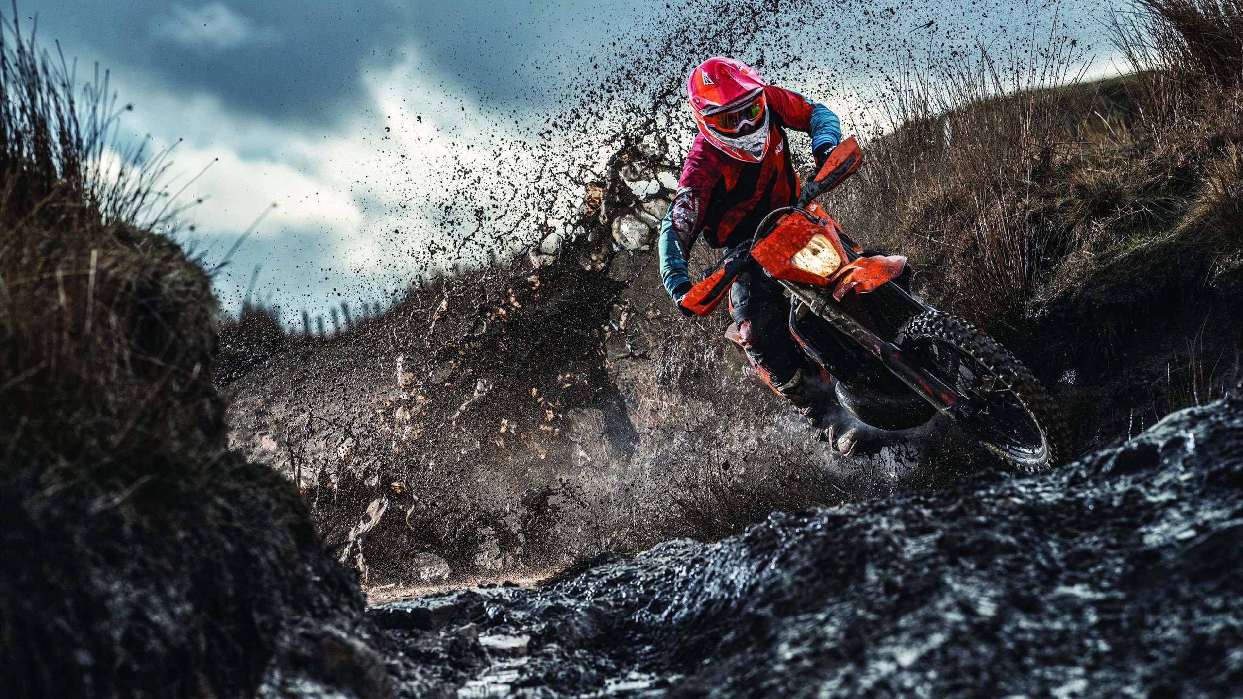 丹·卡特：通过每次精准踢球，为全黑队打下胜利基础，卡特 丹(carter dane)