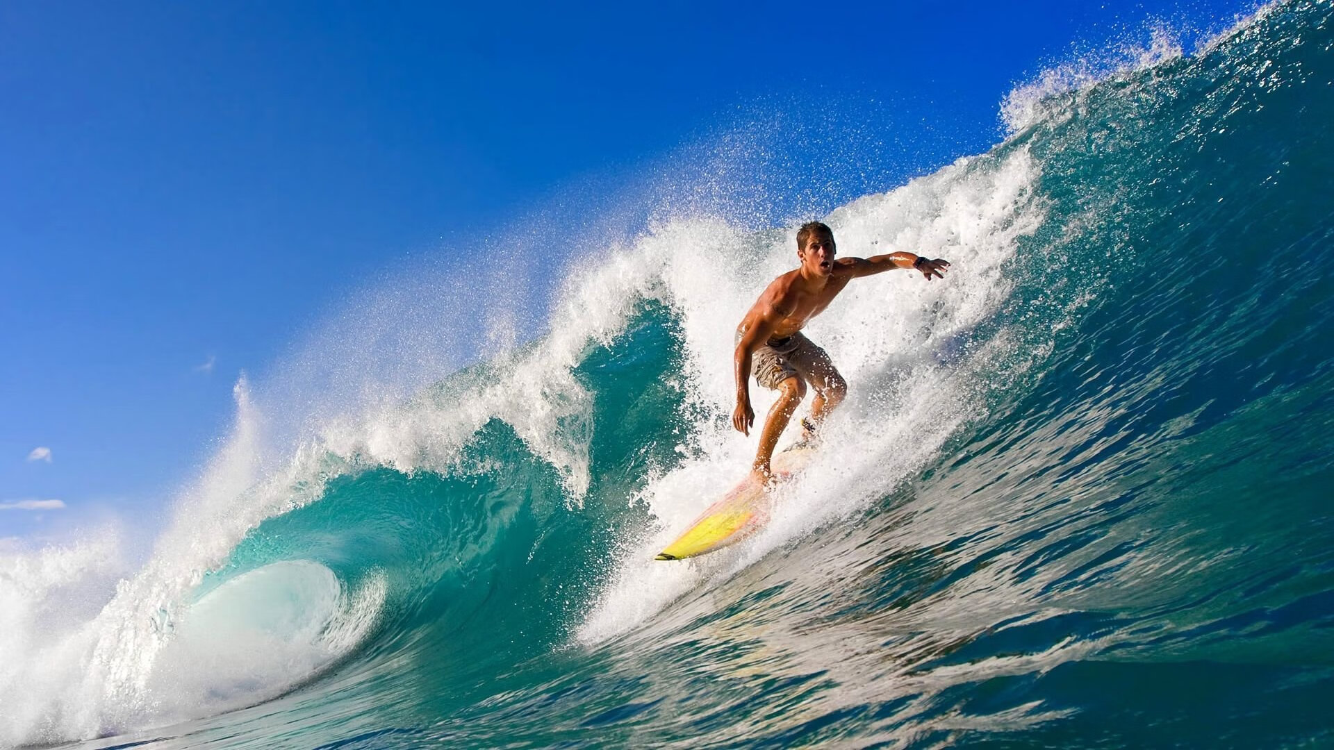 格林伍德凭借出色的防守反击和快速转守为攻，帮助袋鼠队逆转局势